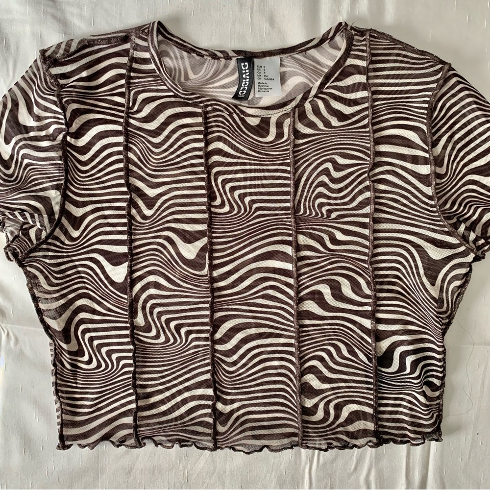 Divided Sheer Crop Top